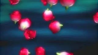 Роза