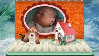 Платон родился!
