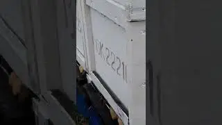 Бджоли працюють після пережитого шторму! 