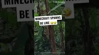 WOKEUP AND CHOOSING MINECRAFT IRL