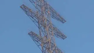 Giant towers