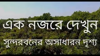 Sundarban Bangladesh(সুন্দরবন বাংলাদেশ অনেক সুন্দর একটি স্থান)