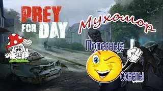 Prey Day Survival Как быстро прокачать уровень?!!Совет новичкам!