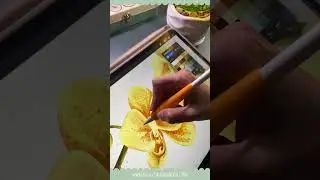 Painting watercolors in Procreate