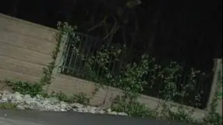 The Chase