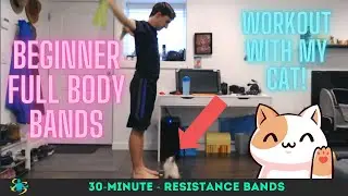Beginner Band Exercise Routine | Full Body | 30 Minutes | Workout With My Cat!