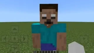 The steve dweller addon in minecraft pe