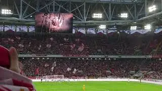 Гол Жиго Спартак - Сочи