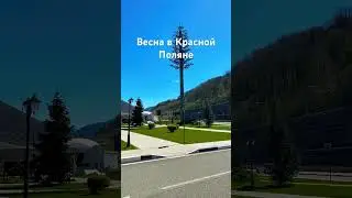7 апреля 2024 г.