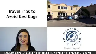 Diamond Certified Experts: Travel Tips to Avoid Bed Bugs