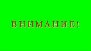 футаж на зеленом фоне ВНИМАНИЕ