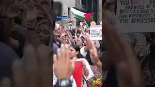 Pro-Palestinian demonstrators take part in a rally in the Canadian cities of Montreal and Toronto
