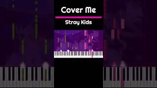 COVER ME on the piano! 