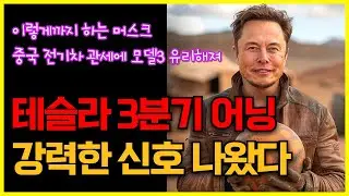 테슬라 3분기 어닝비트 강력한 신호 나왔다, 이렇게까지 하는 머스크, 중국 전기차 관세에 모델3 유리해져