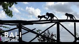 Bali Highlights of 2018