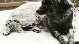 Трудно быть добрым