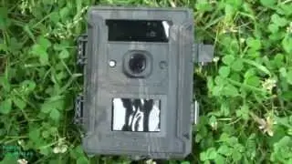 Самая лучшая фотоловушка для леса Bestok M660