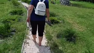 прогулка по дендропарку