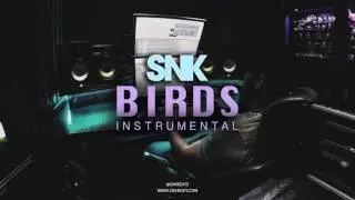 Birds | Chilled Soulful Trap Rap Beat [Instrumental] [Prod. SNK]