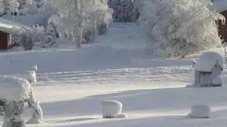 Winter 2010