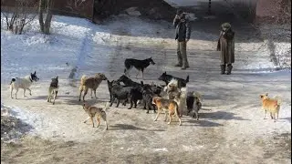 Не выходите из дома!!