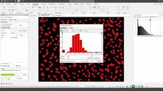 Image-Pro v11: Cell Biology Protocols - Apoptosis