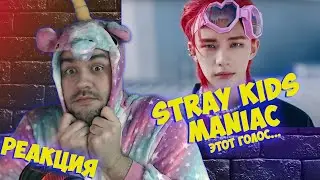 Реакция на Stray Kids 