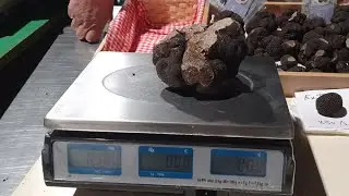 Marché aux truffes de Saint Jean d'Angély (17) - 14 décembre 2020