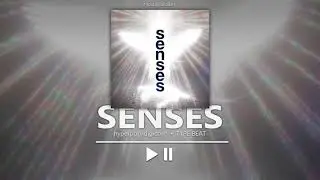 senses [HYPERPOP/DIGICORE TYPE BEAT] Prod. Lyokau97