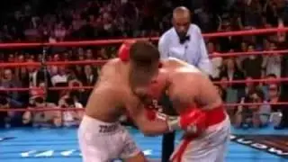 Warriors of Boxing