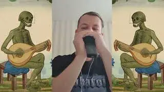 HARMONICA COVER: Die Streuner - Totentanz #3