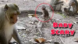 MILLION PITY BABY MONKEY MAI WAS SLAPPING BY KING MARCUS