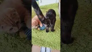 лето пришло 😃🌱🌺