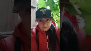 Куклы Исв. Одухотворённые куклы