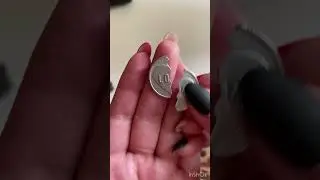 Манты из магнита. Чёрная метка пирата 