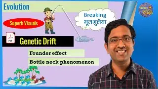 Genetic drift , founder effect, bottle neck phenomenon I Evolution I NEET I Dr Kunal Tatte (KT)