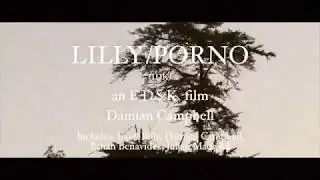 IDK Lilly/porno