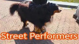 Dogs, artists and impassable street cafes. A day off in Holland. Street Performers Alphen a/d Rijn.