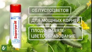 Садовод! Возьмись за ум - применяй Борогум!