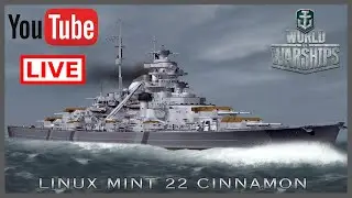 Ebeez Scourge Of The High Seas 03 F2P On Linux MINT 22