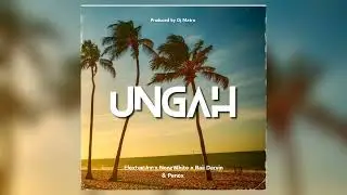 Ungah - Elexter Jr x NonzWhite x Raii Darvin x Penox (Official Audio)