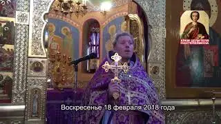Воскресная проповедь протоиерея Вадима Гурина_ 25 февраля 2018