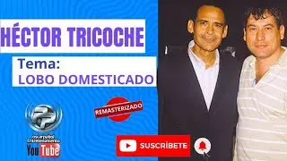 HECTOR TRICOCHE -  LOBO DOMESTICADO