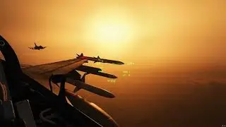 DCS - 88C - SAM-6