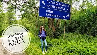 VLOG: Дивная Куршская коса (2018)