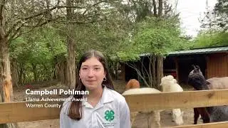 video 7