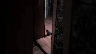 Кот орёт как Епифанцев