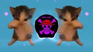 DJ KICAU KICAU KICAU MANIA SLOW VIRAL TIKTOK FULL SONG TERBARU 2026 