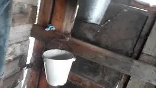 Поездка на новый участок. Первый соболь.