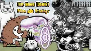 How to Stack 10+ Minas on Li'l Mohawk 💀